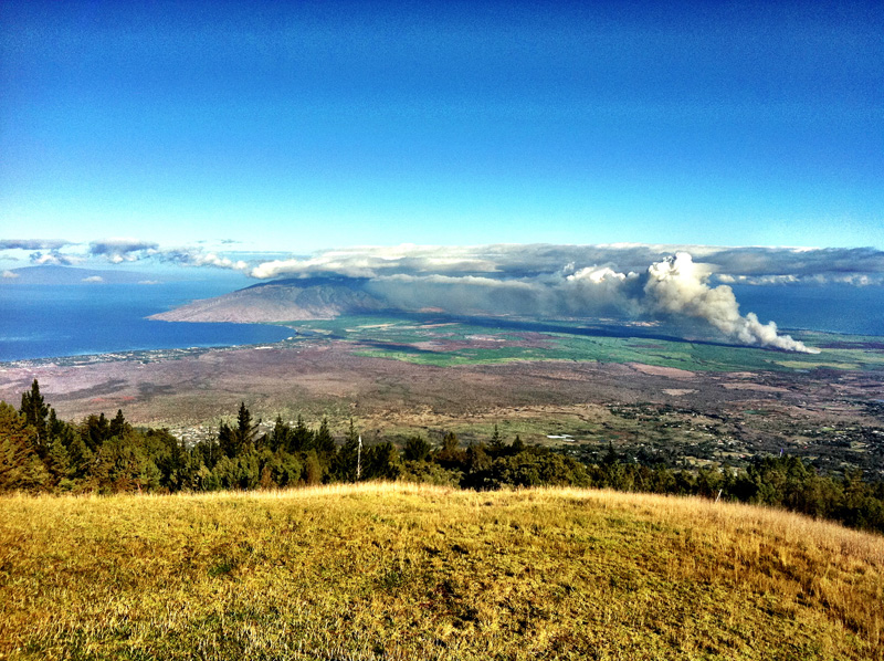 Paragliding In Paradise