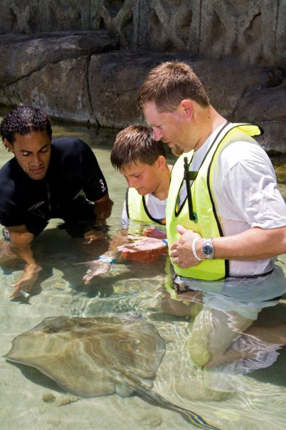 stingray encounter 9428 148358176901 5937963 n Swimming With Sharks & Stingrays