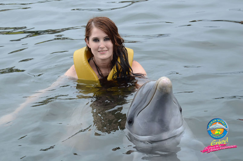 swimming with dolphins puerto plata DSC 2941 Swimming with Dolphins in Puerto Plata