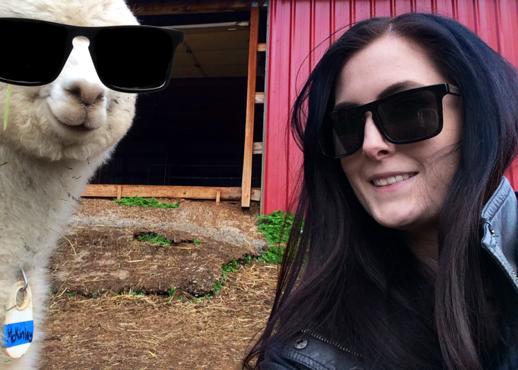 Alpaca selfie