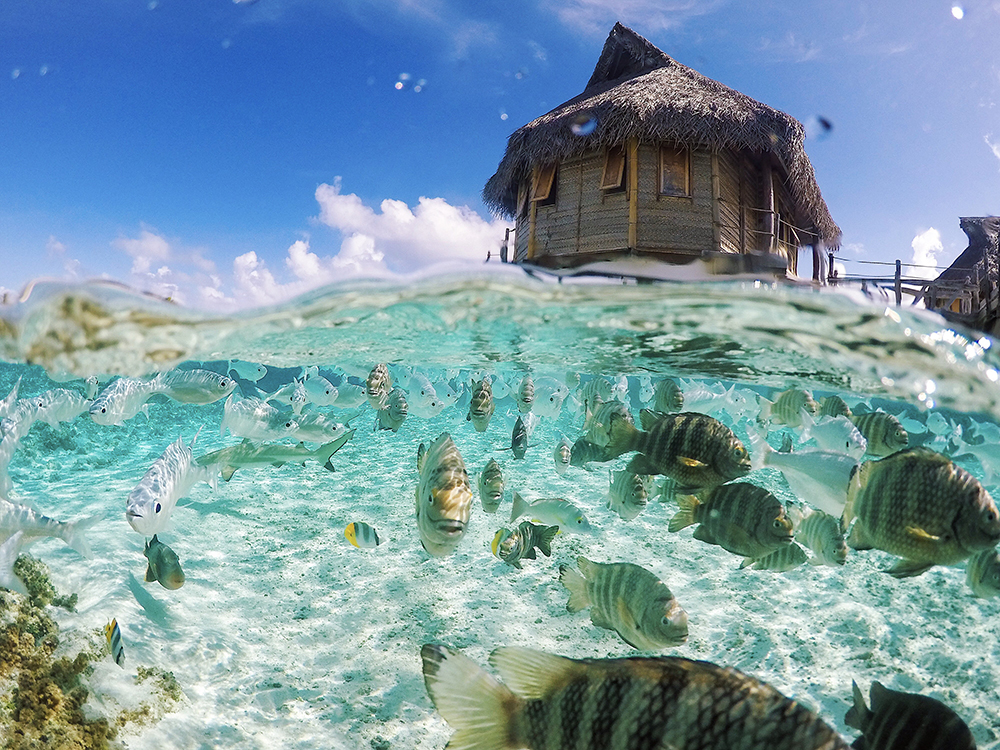Staying in an Overwater Bungalow in Tahiti