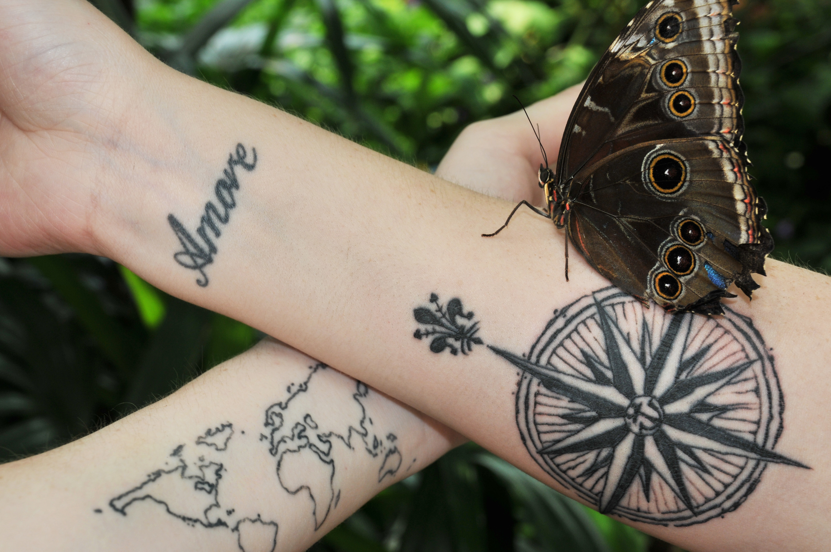 Details more than 172 dubai tattoo laws