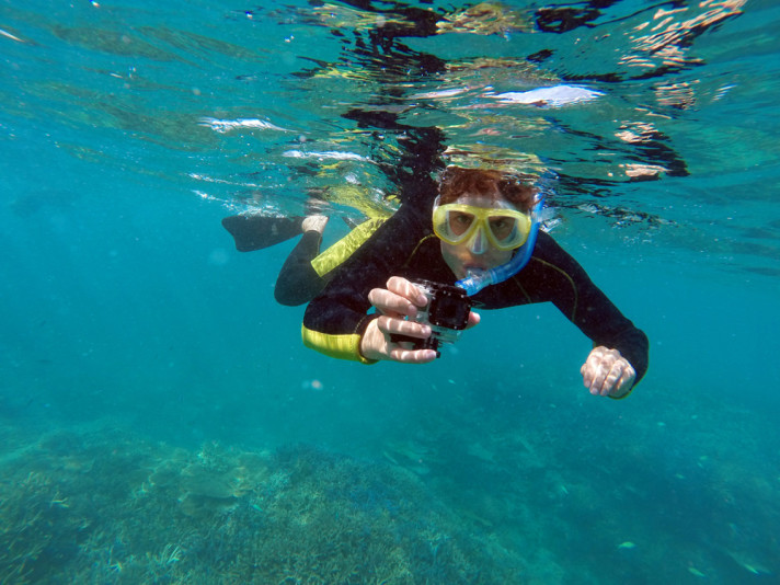 Snorkelling With Giant Manta Rays in Ishigaki - Seattle's Travels