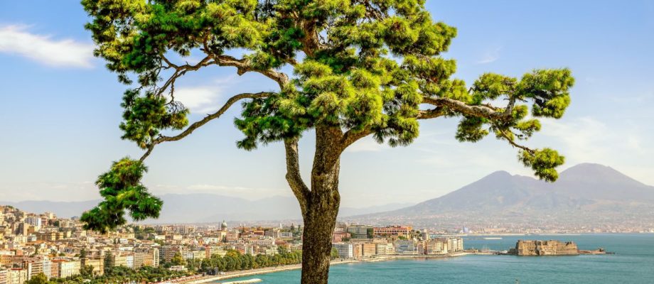 Unveiling Naples: Exploring the Jewel of Southern Italy