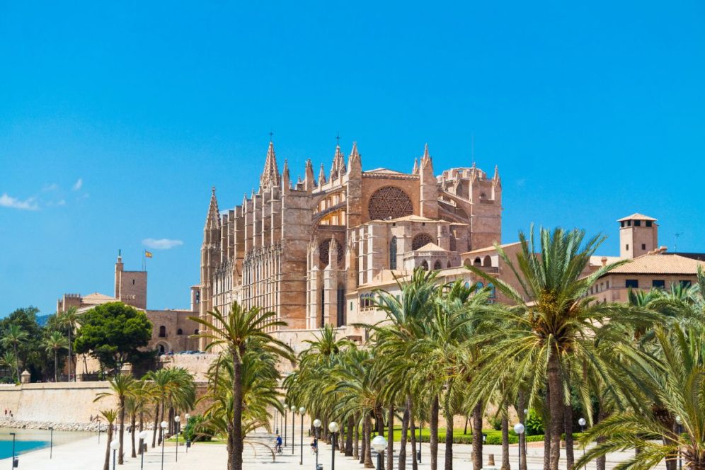 palma