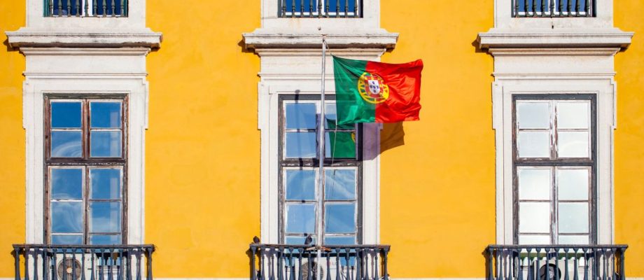 Portugal D2 vs. D8 Visas: Key Differences