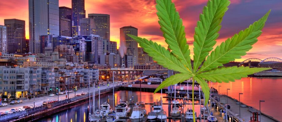 The Five Best Dispensaries in Seattle