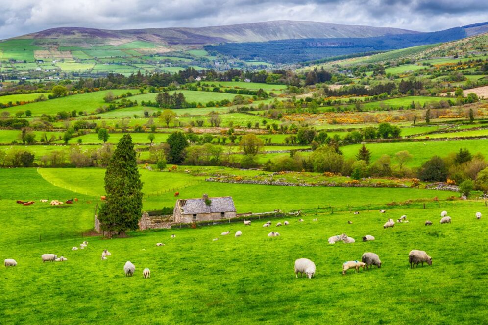 ireland