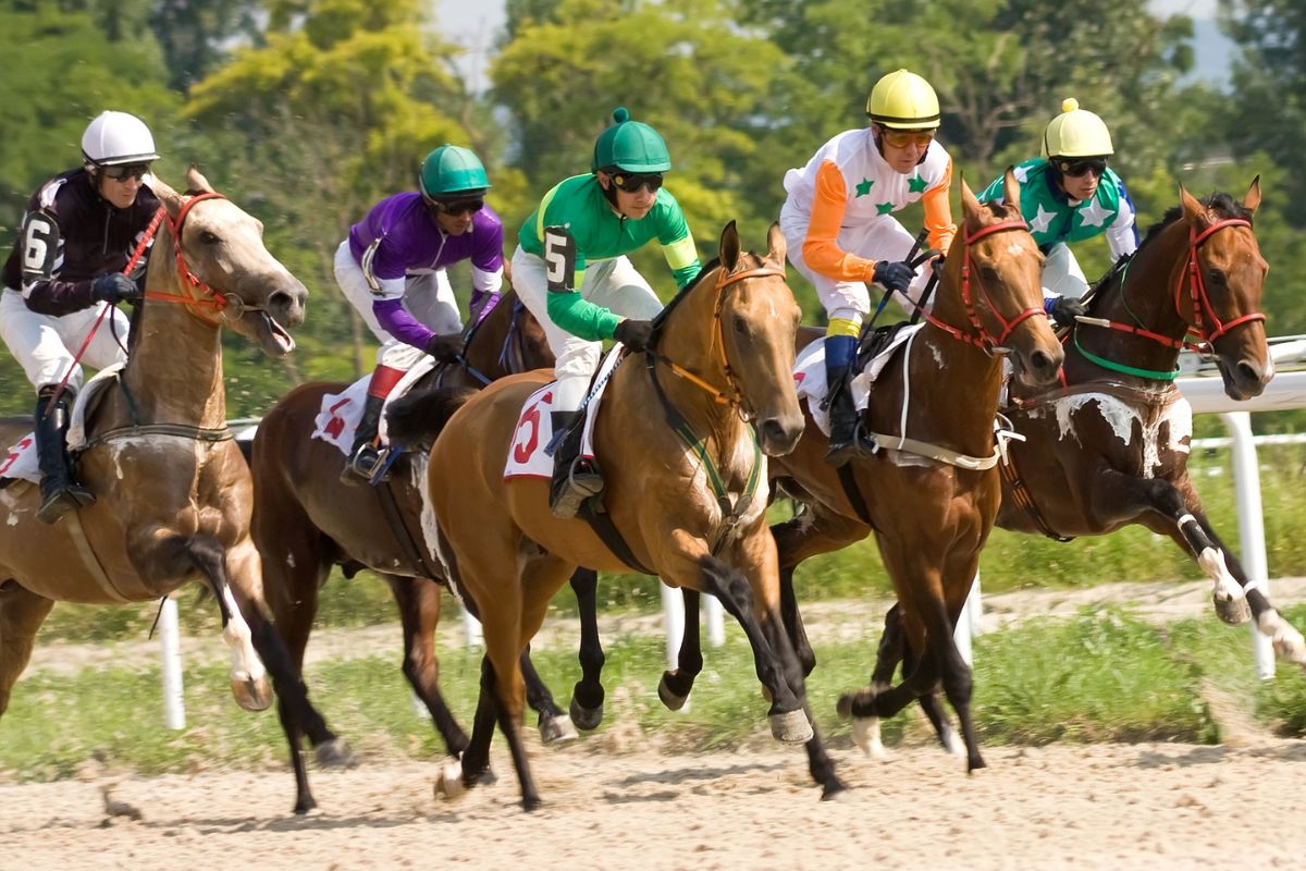 Where To Go For Horse Racing Near Seattle - Seattle's Travels