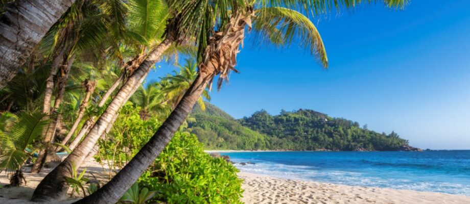How to Pick a Beach Vacation Package Without Regretting It Later